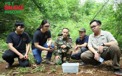 Viet Snake Rescuer