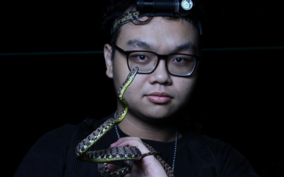 Viet Snake Rescuer