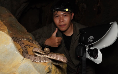 Viet Snake Rescuer