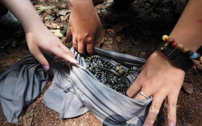 Viet Snake Rescuer